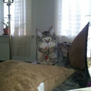 Meet your Posher, Juanita